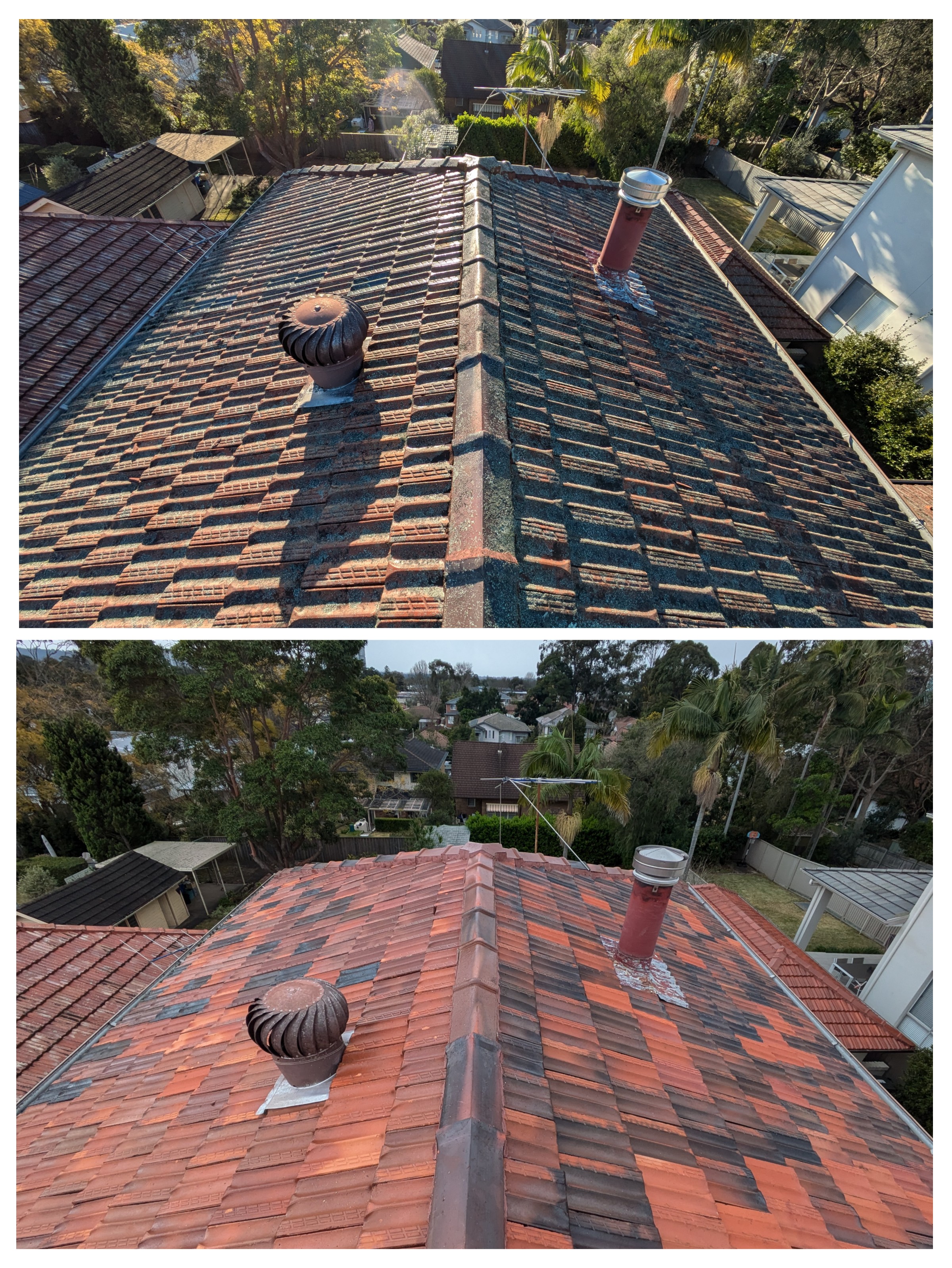 Roof Cleaning