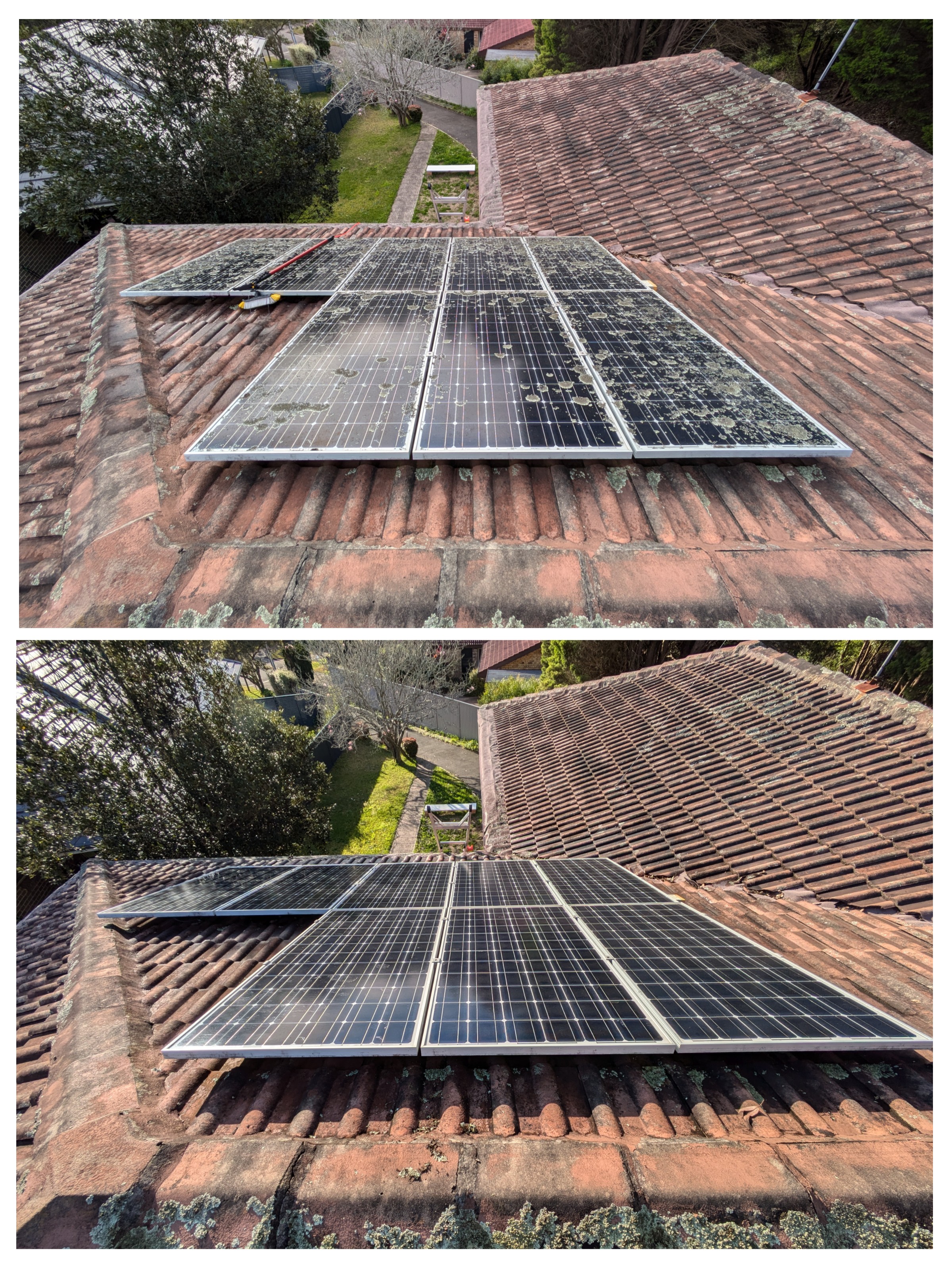 Solar Panel Cleaning